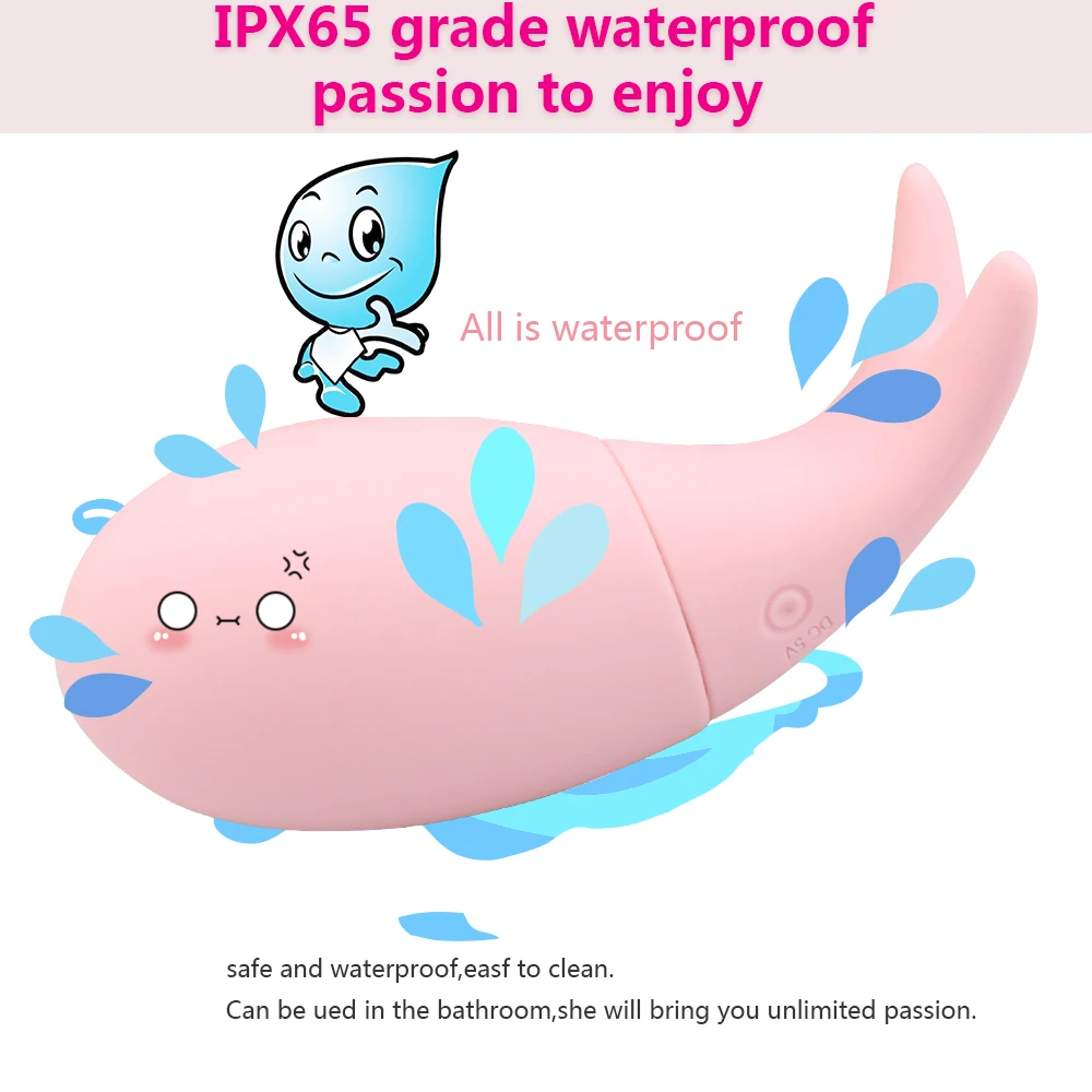 小金鱼-说明图4