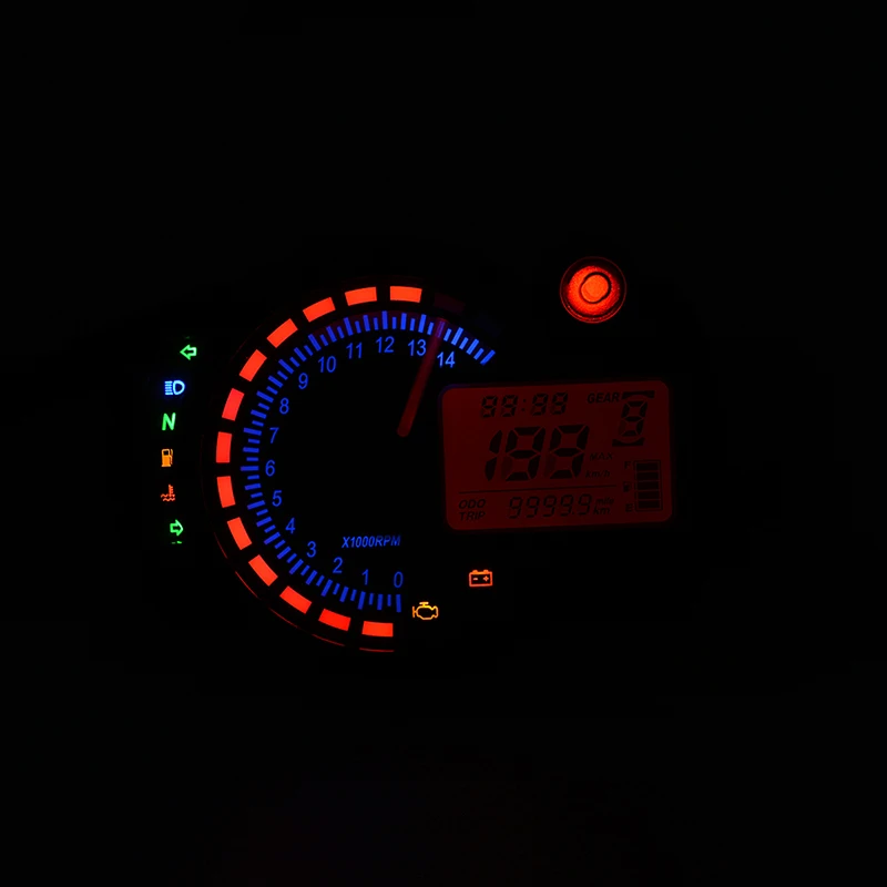 DSC_5631