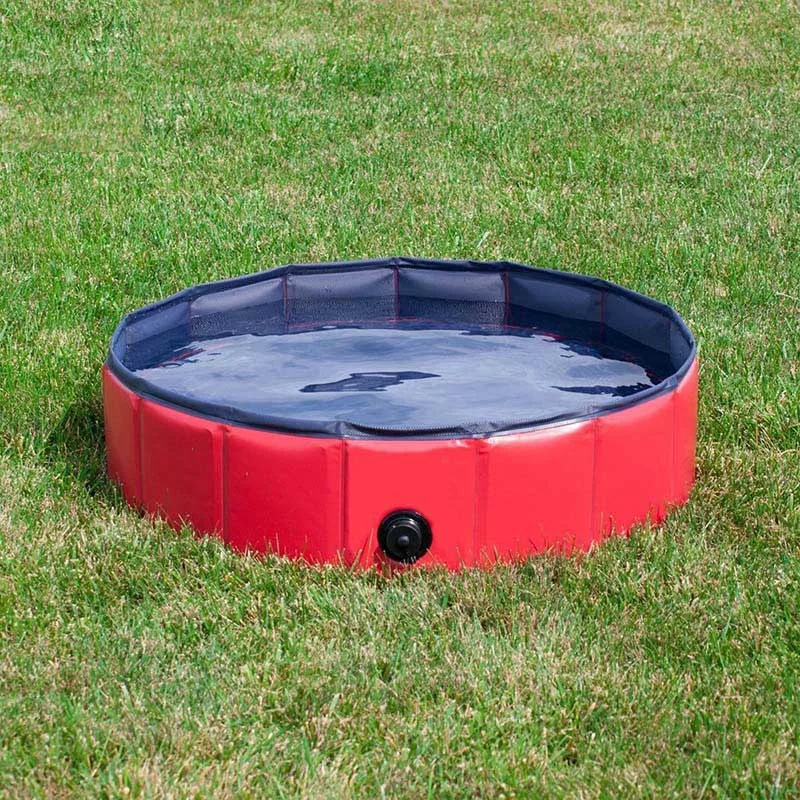 Piscine pour chien pliable