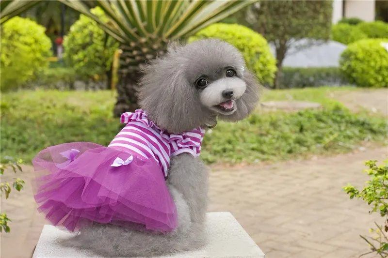 Y04_Sweaty_Small_Dog_Dress_Cute_Pet_Dog_Puppy_Stripe_Bow_Lace_Tutu_Dress_Princess_Pet_Skirt_for_Chihuahua_Yorkshire_ (10)