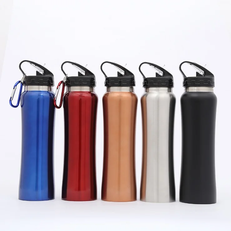 

18oz Stainless Steel Water Bottle with Carabineer Buckle Vacuum Kettle Travel Insulated Cup with Straw Lid W7341