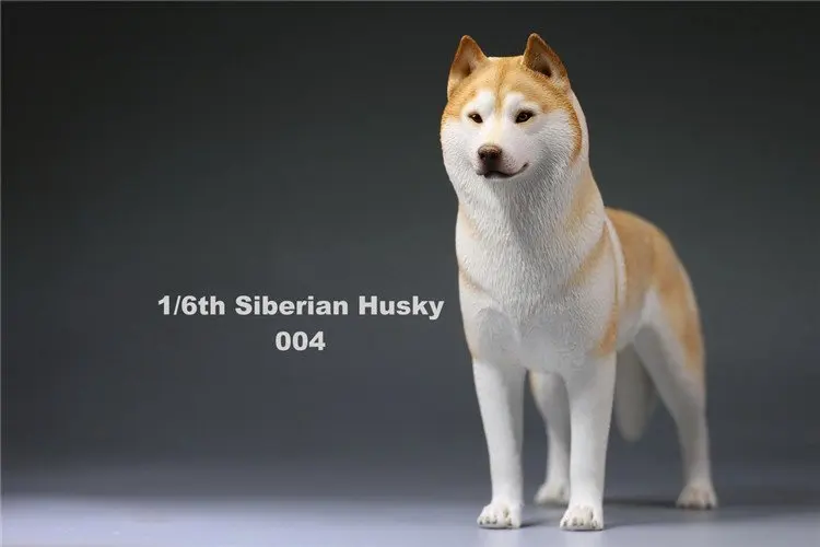 

Estartek 1/6 Simulation Animal Siberian Husky Dog for 12inch Action Figure Sence DIY