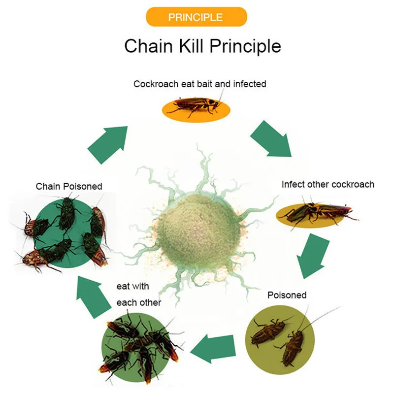 Effective Cockroach Gel Baits Cockroach Killer Strength Drugs Pest Control Cockroach Repellent Infection Killing Eradicate