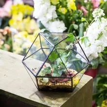 Pastoral Tabletop Creative Glass Geometric Plant Terrarium Succulent Flower Pot Decoration Container Bonsai Flowerpot Terrarium