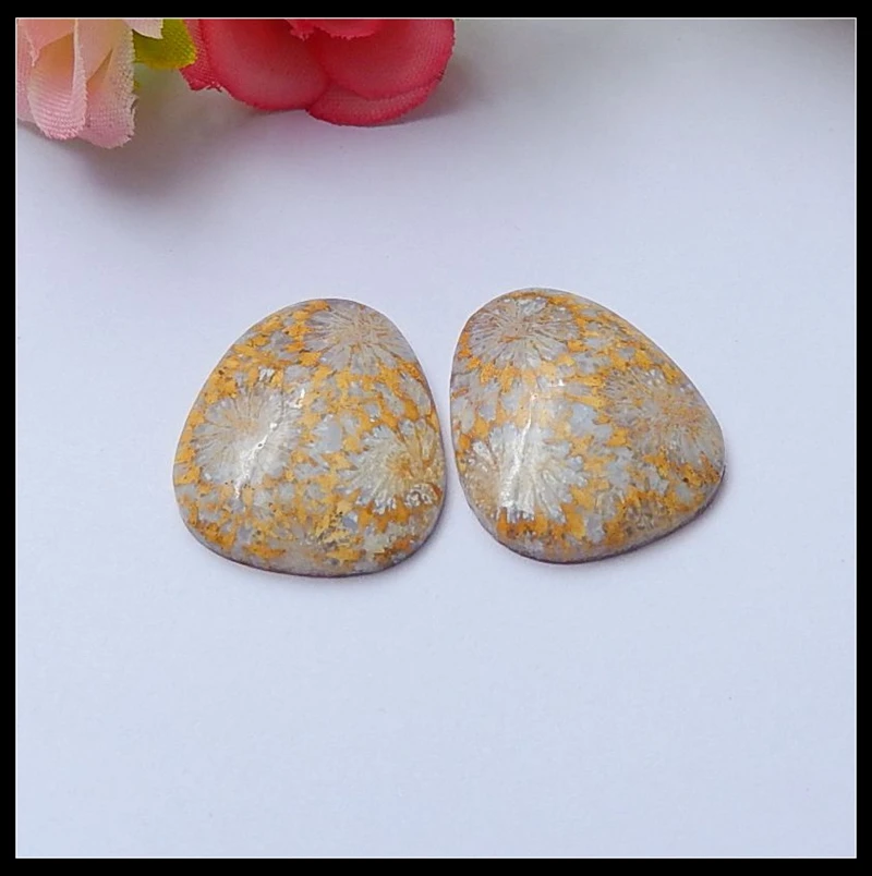 

Sales 2Pcs Natural Stone Indonesian Coral Gemstone Cabochons 23x19x4mm 6.1g
