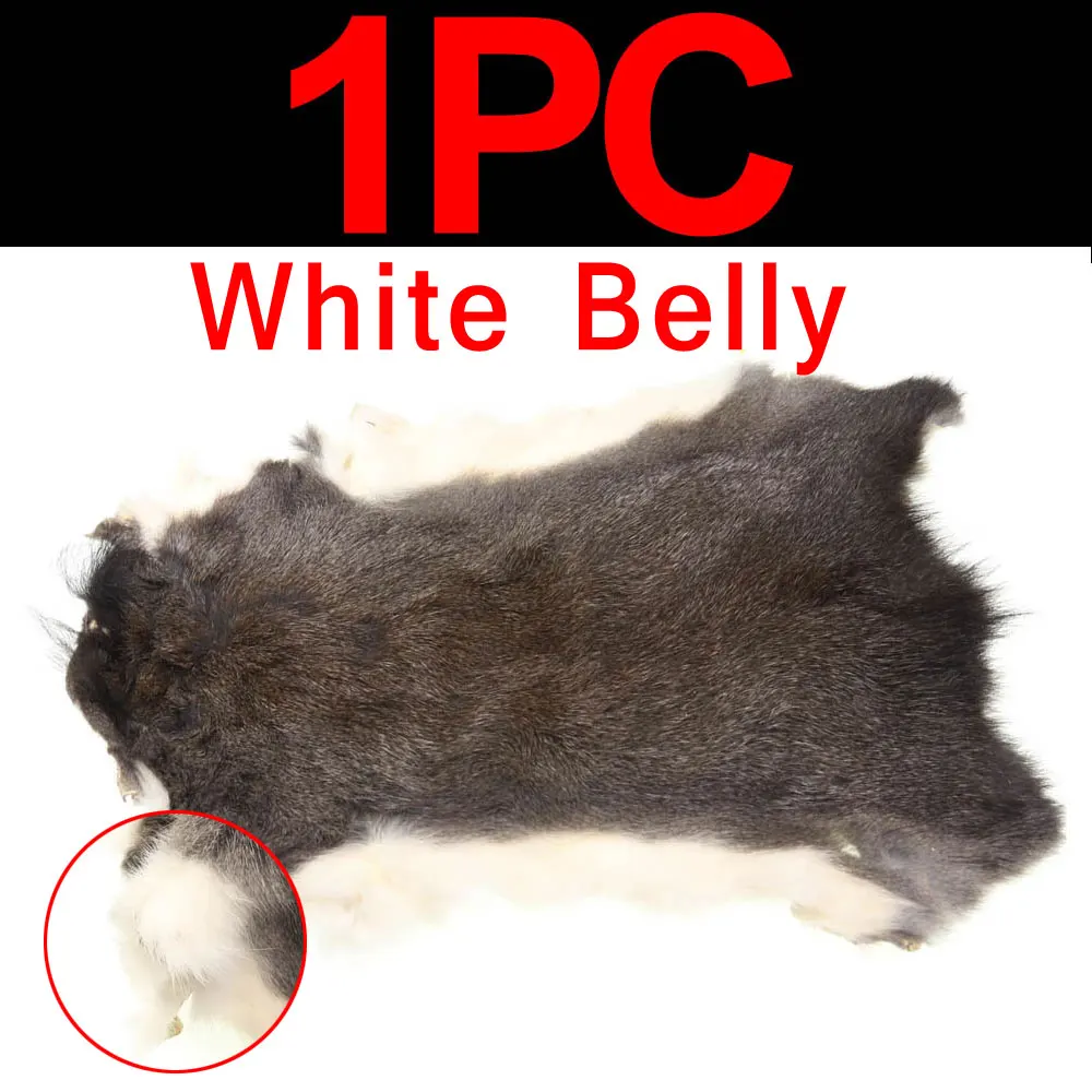 white-belly