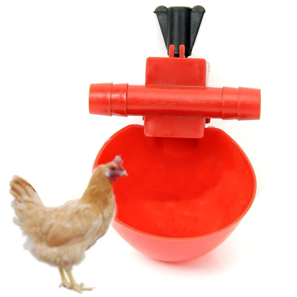 4 Pcs Automatic Cups Chicken Waterer Poultry Bird Auto Feed Water PVC New