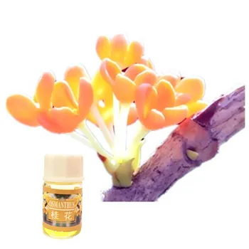 

Household Daily Fragrance Aromatherapy Essential Oil 3ml/Pcs Natural Osmanthus Moisturizing Skin Care