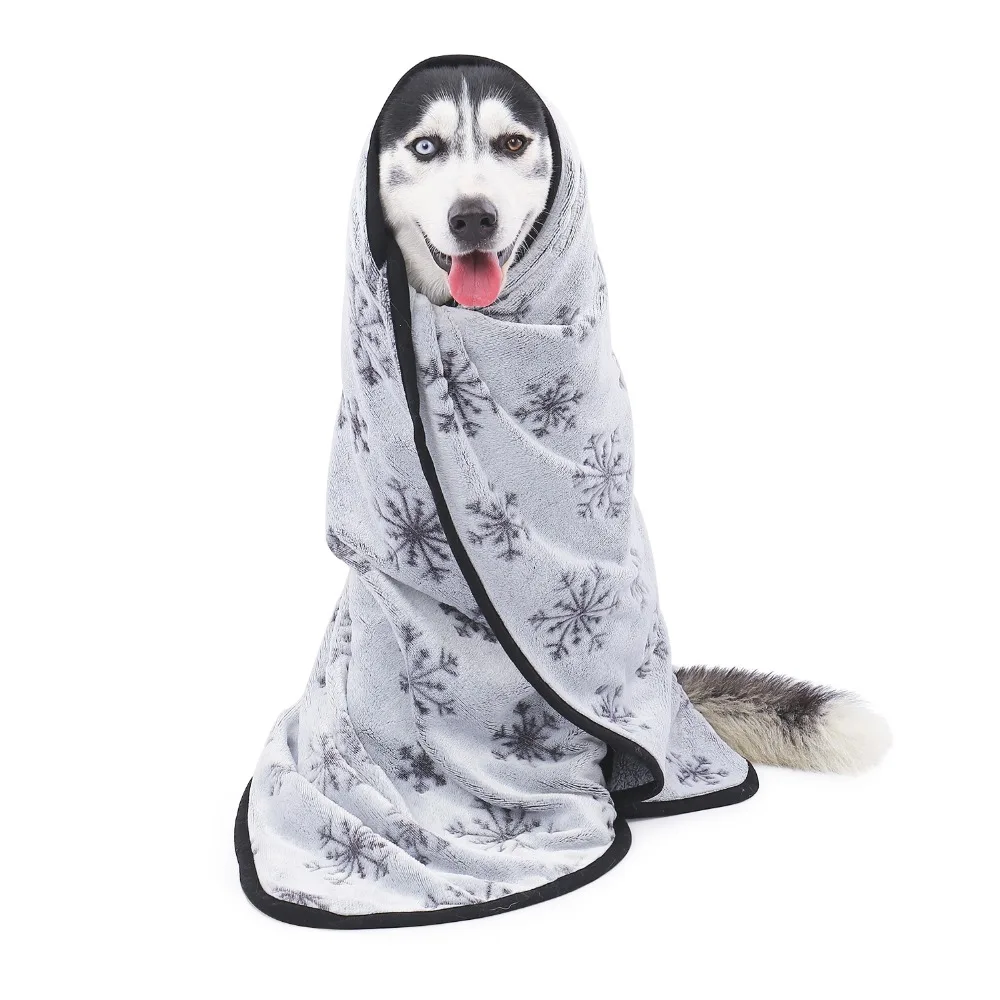 d0cec388-5949-4441-9e0c-999de2245ca8