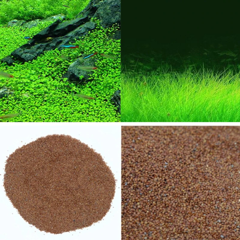 

Aquarium Landscape Ornament Aquatic Water Grass Mini Leaf Live Plant Fish Tank Decoration Home Graden