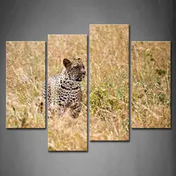 Настенная картина в рамке фотографии Leopard Lookout трава принт на холсте офисный Декор