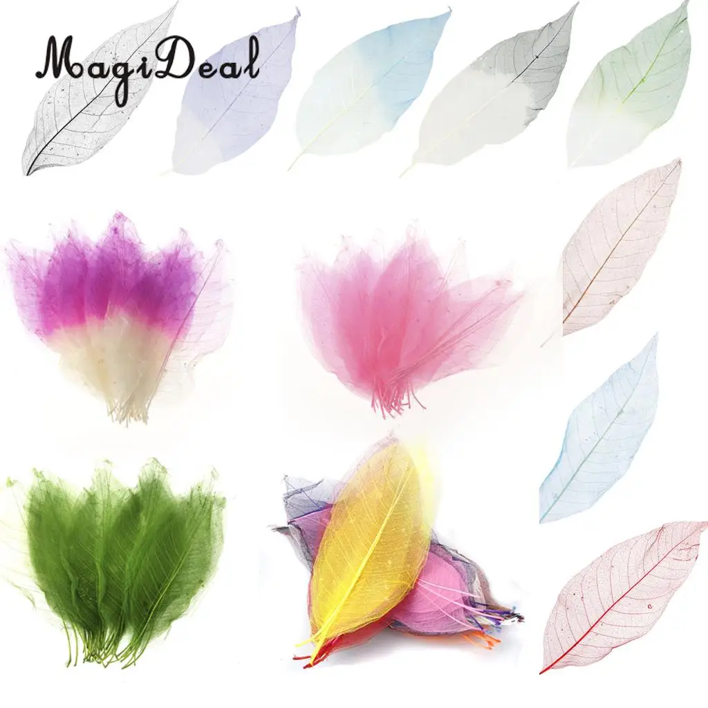 MagiDeal 50Pcs Natural Magnolia Skeleton Leaf Leaves Card Scrapbook - Mixed Color Decorate Cards Candles Packages