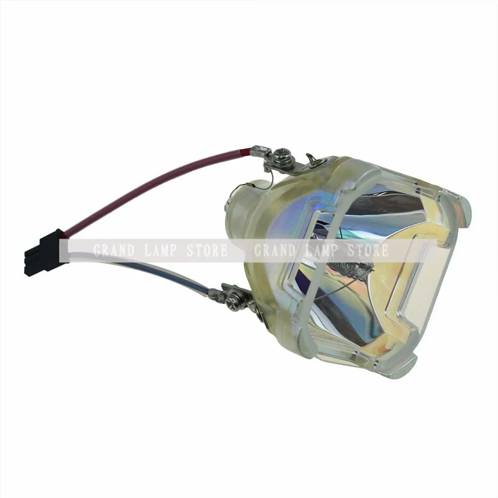 SP-LAMP-005-4