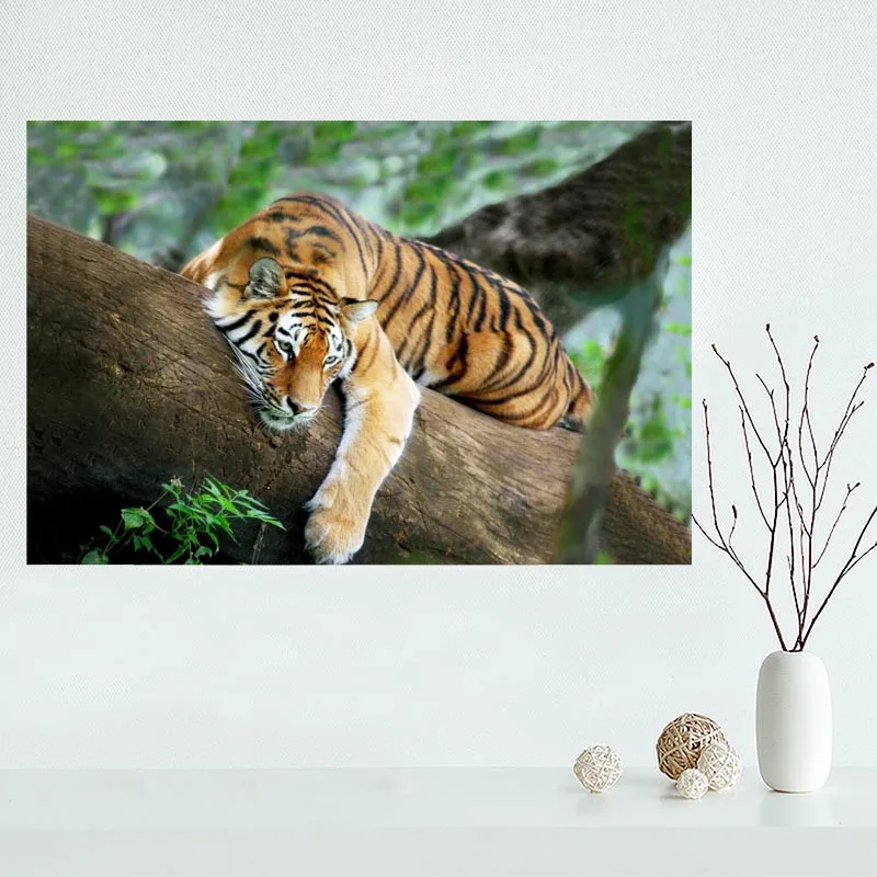 

2017 New arrival Custom canvas poster Tiger canvas painting poster New arrival wall Art poster Fabric Cloth Print