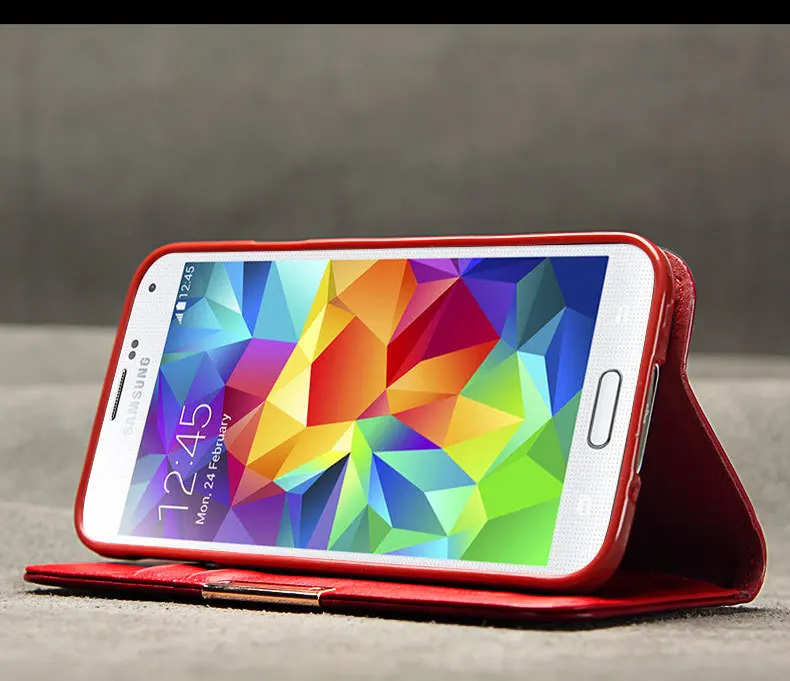 shedeshenji9600S5_21