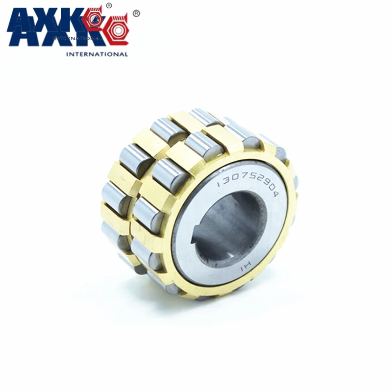 

TRANS double row eccentric bearing TRANS4110608