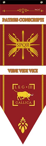 New Caesar Rome empire SPQR Infantry Legions War Banner Home Decor Flag Bar Family decoration Flags S-L cosplay game show props - Цвет: iiiGALLICA