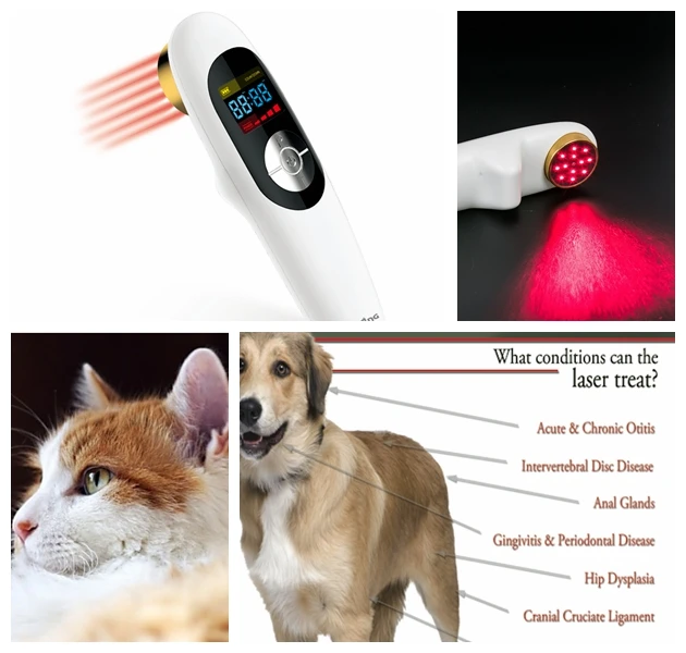 

handheld 808nm medical laser physiotherapy rehabilitation