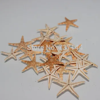 

Lot of 50 5 -15mm Natural Small Starfish Natural Color Small Starfish Mini five-pointed Star Natural Shell for Home Wedding