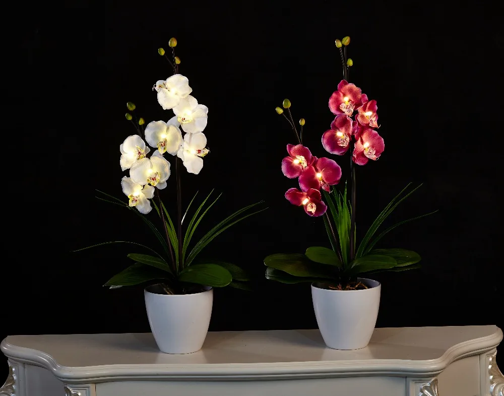 

Free Shipping 20" (50cm) LED Blossom Orchid Flower Light 7PCs WarmLED with 2*AA Battery pot , 7 Blossom Orchid Flowers with buds