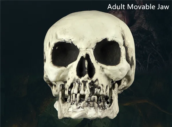 Scary Skeleton Heads Figure Halloween party supply gifts - 2. Adult Movable Jaw 1