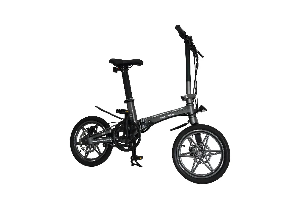 Cheap electric bicycle magnesium alloy folding bike 16inch mini size lithium battery 36v 250w light weight disc brake CE certificated 10