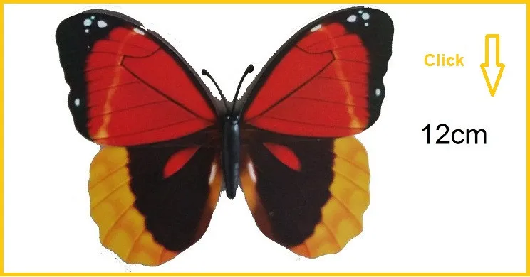 12cm
