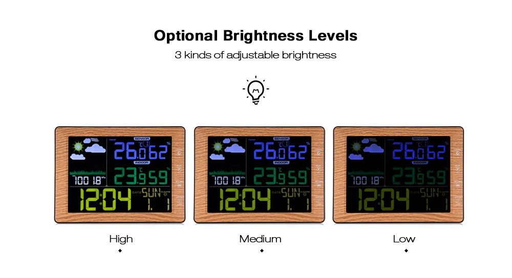 TS - 8210 Barometer Indoor Outdoor Temperature Humidity Digital Alarm Clock