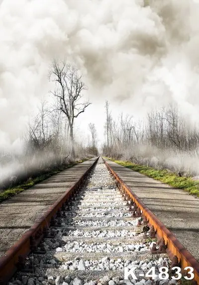 

Rail Backdrops For Props Photographers Shooting Portrait Vinyl Photo Studios Backgrounds Newest Digital Photos White Clouds