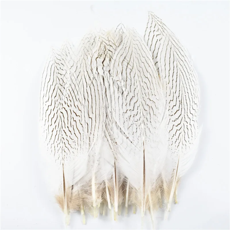 

10Pcs/Lot 10-30CM 4-12 Inch Natural Silver Pheasant Tail Feathers for Crafts Wedding Decorations Silver Pheasant Feather Plumes