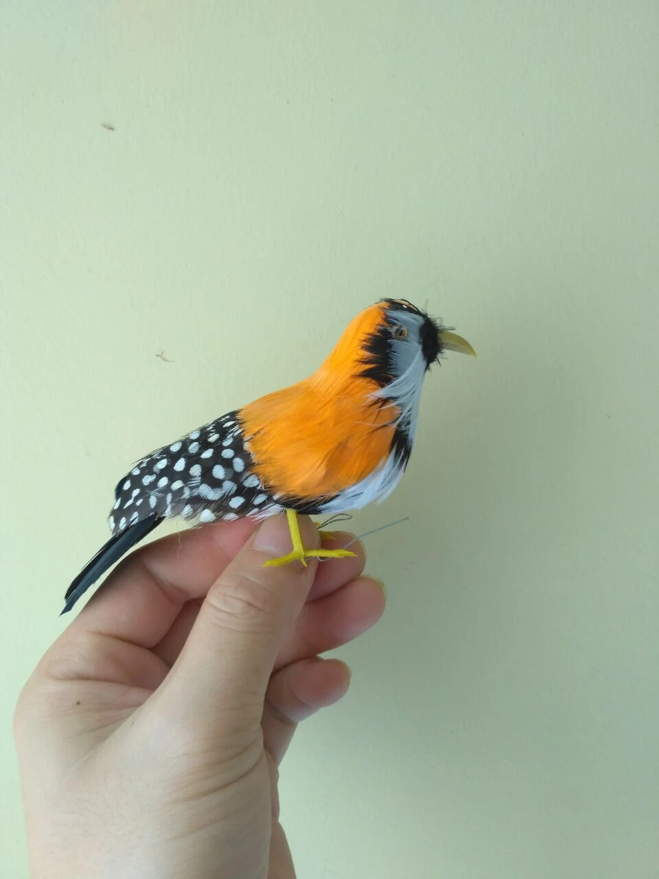 Small Orange Feathers Zebra Finch Bird Foam Feathers Pearl Bird About 12cm Zebra Finch Bird Foambirds Birds Aliexpress