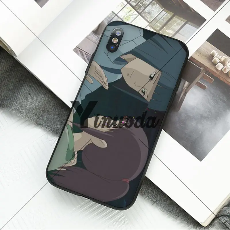 Cartoon Studio Ghibli Spirited Away Totoro