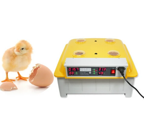 1 шт. 48 яйца цифровой очистить яйцо-инкубатор Хэтчер автоматического поворота Контроль температуры