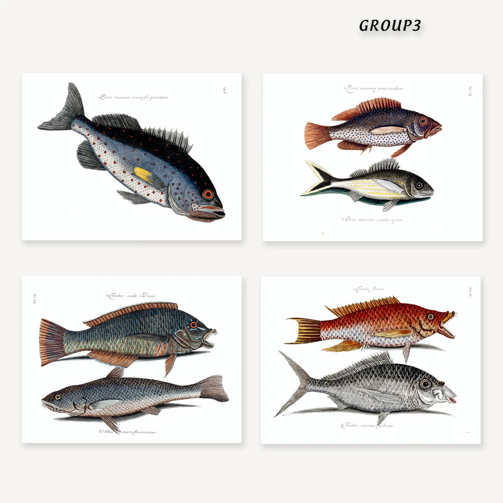 FISH 2 g3