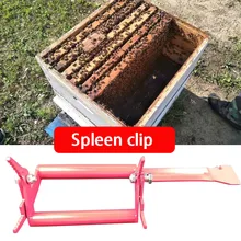 Держатель для подтягивания пчеловодства из нержавеющей стали, сотовая селезенка, зажим для рамки пчеловодства, инструменты для пчеловодства, оборудование для пчеловодства, бижутерия