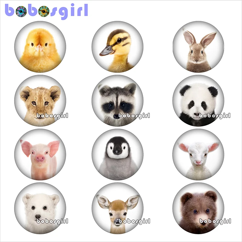 

animal panda penguin bear duck glass snap button jewelry DIY Round photo cabochons flat back TW1032