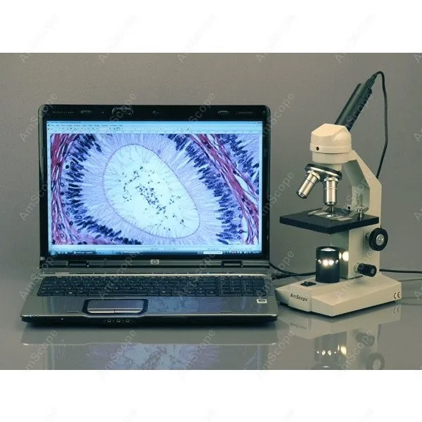 Студенческий составной Микроскоп AmScope поставляет 40X 800X студенческий w/Mech.