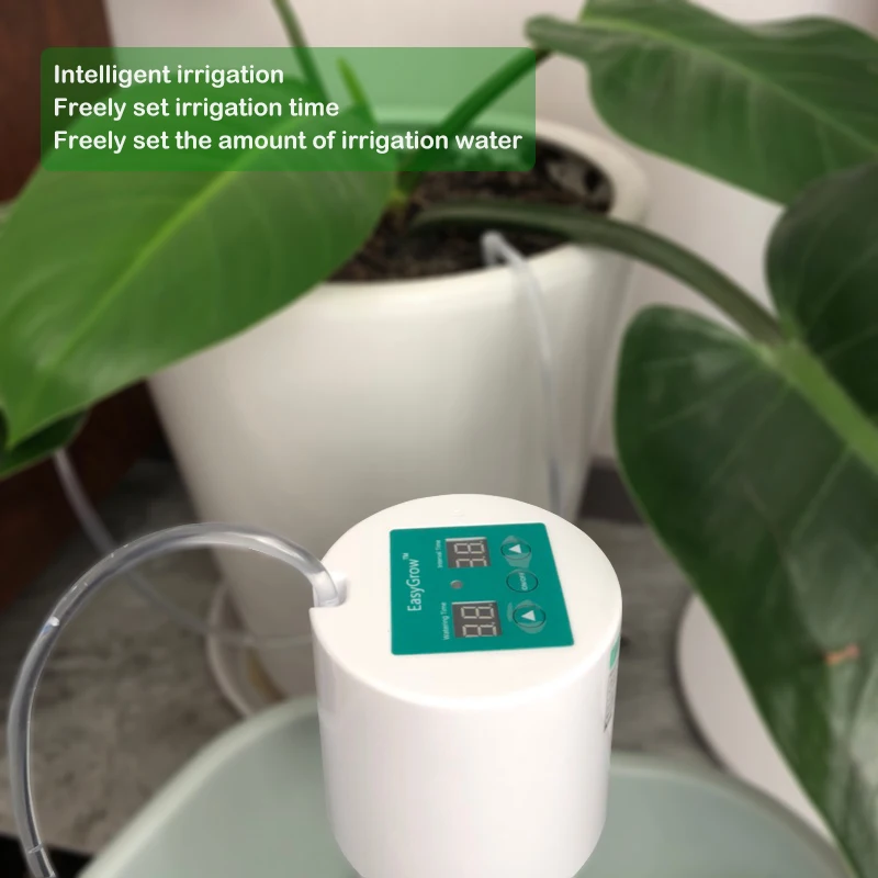 Beste Kopen Intelligente Tuin Automatisch Sproeisysteem Apparaat Vetplanten Planten Druppelirrigatie Tool Waterpomp Timer Systeem Controller Druppelen Pijl Goedkoop Vente9ziw Beste Kopen Intelligente Tuin Automatisch Sproeisysteem Apparaat Vetplanten Planten Druppelirrigatie Tool Waterpomp Timer Systeem Controller Druppelen Pijl Goedkoop Vente9ziw