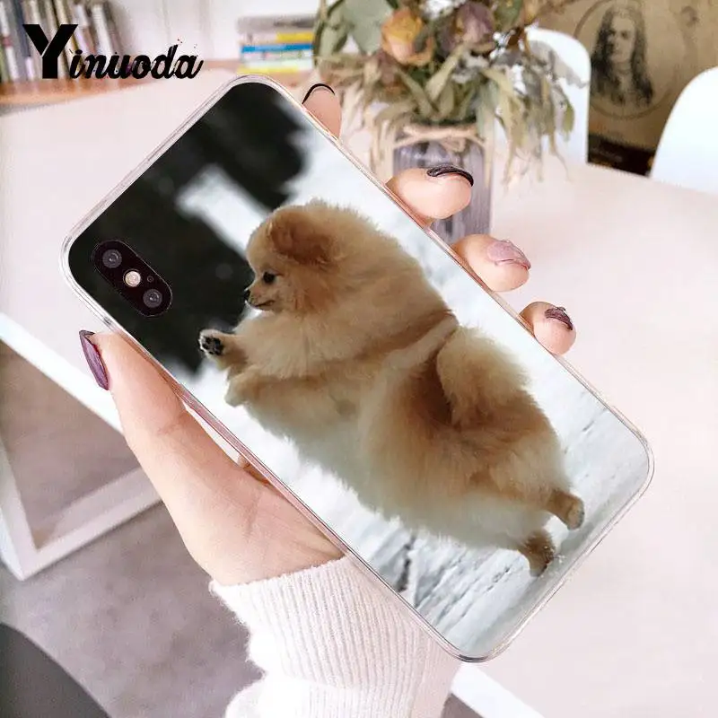 Yinuoda Pomeranian dogs Красочный милый чехол для телефона для iPhone 8 7 6 6S Plus X 10 5 5S SE XR XS XSMAX11 11pro 11promax