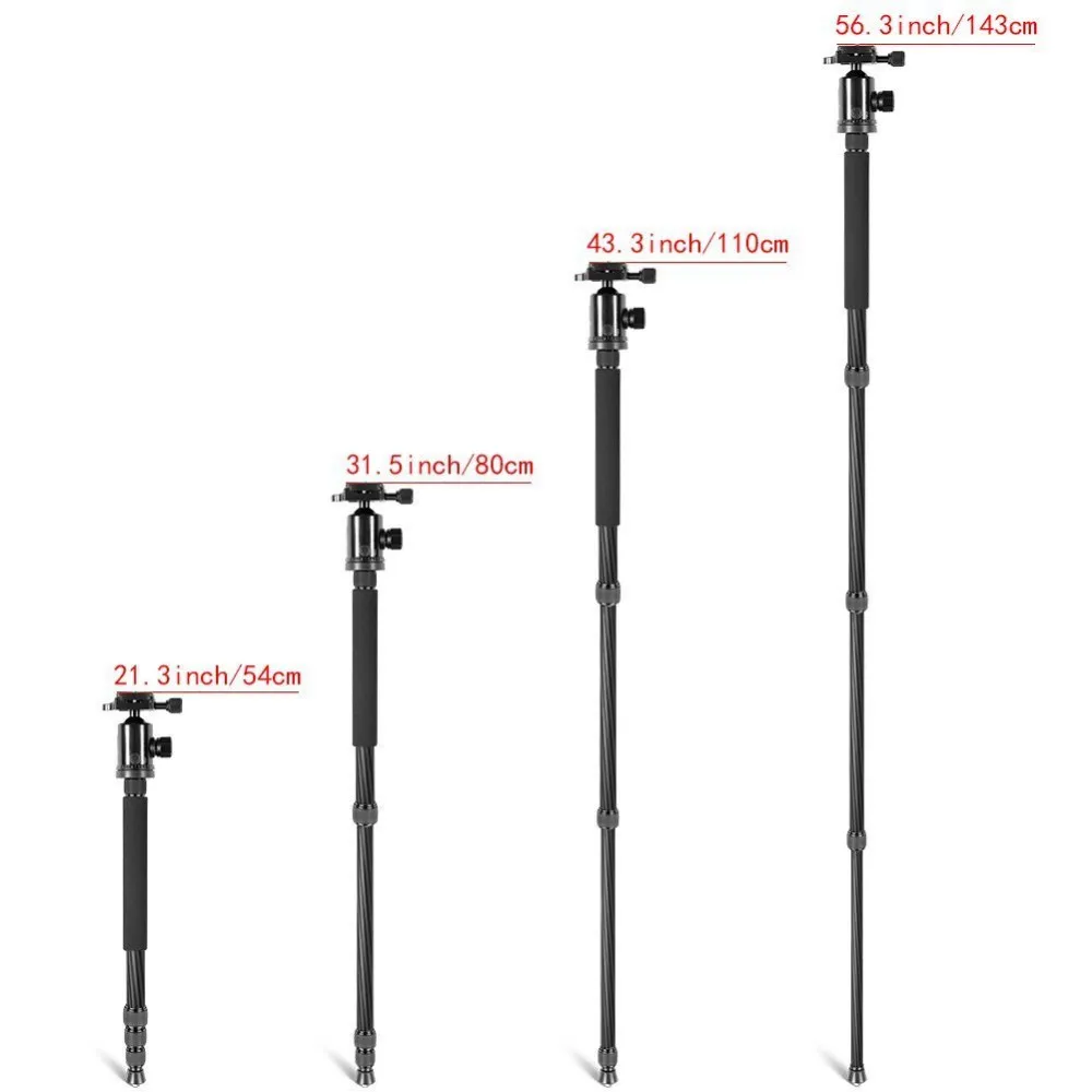 51-n1IdlXUL._SL1001_