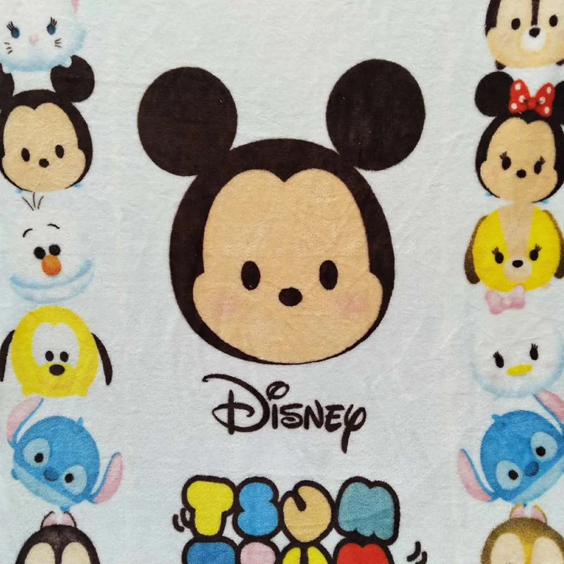 disney blanket (5)