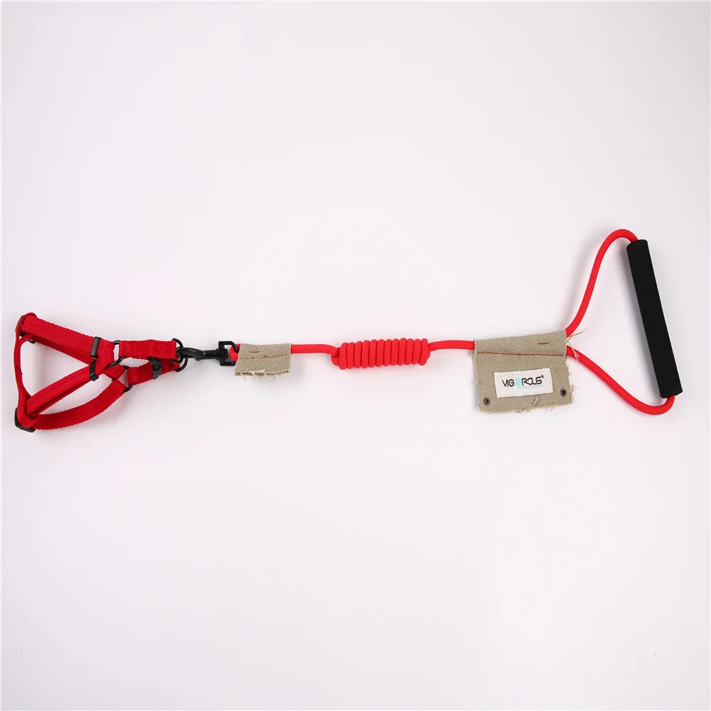 dog leash and harness 5