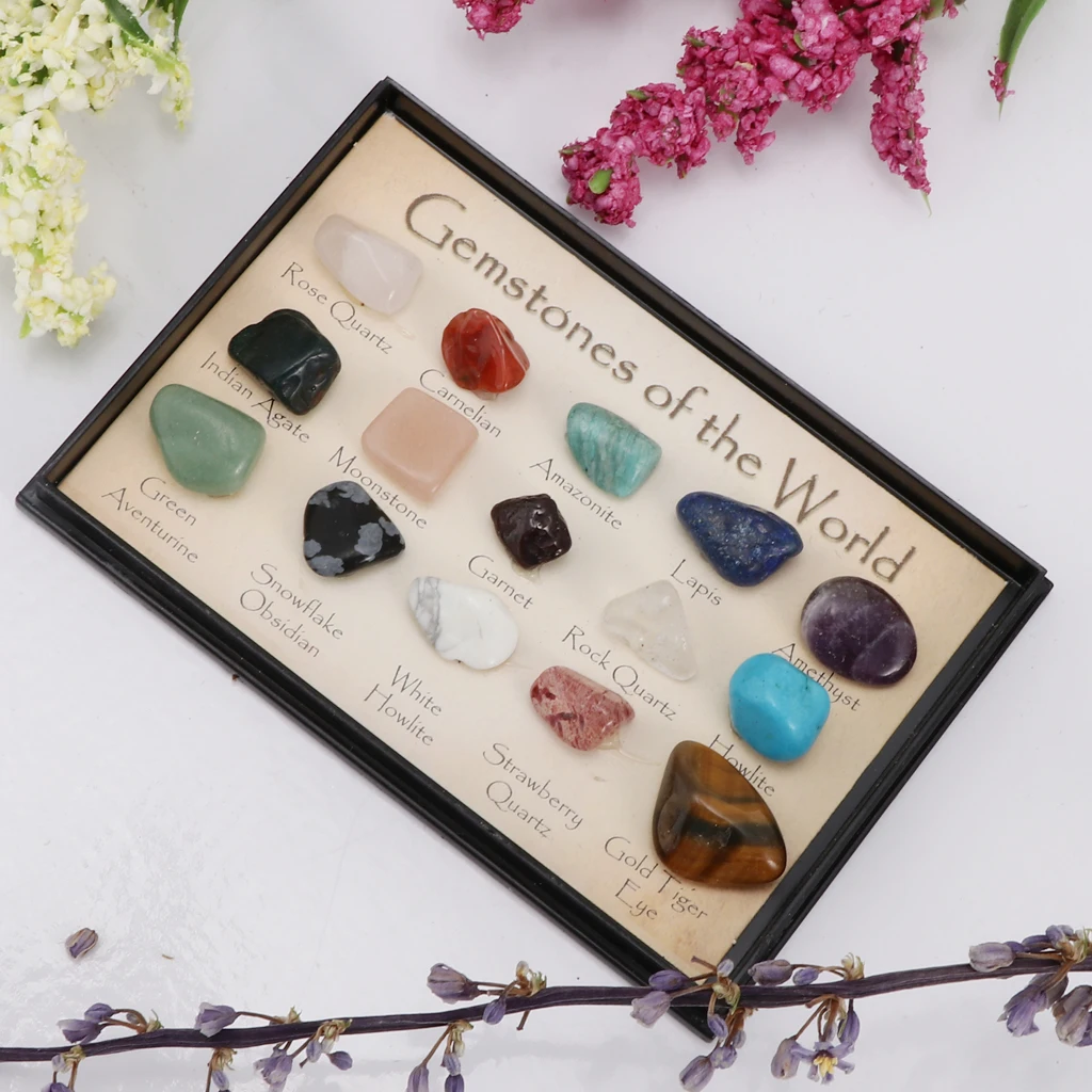 Rock & Mineral Collection Mixed Gemstone Crystals Natural Mineral Ore Specimens with Box, Earth Science Toy - Pack Of 15