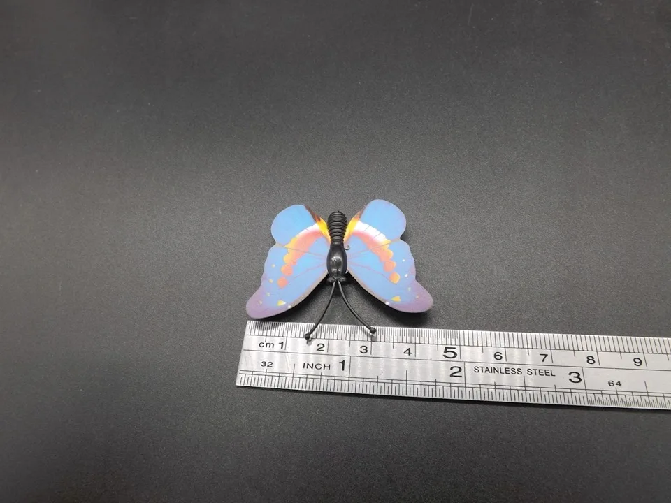 I266-Butterfly (12)