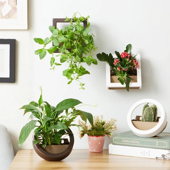 Wall Hanging Planter popular hanging plant wall-buy cheap hanging plant wall lots from Wall Hanging Planter popular hanging plant wall-buy cheap hanging plant wall lots from