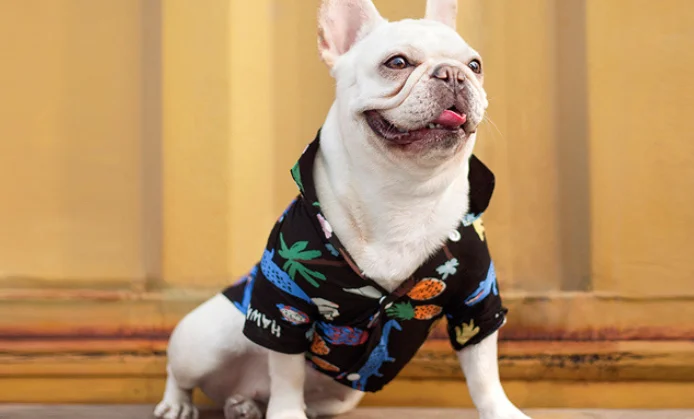 NOBLEPET футболки для домашних животных собак хлопковая летняя пляжная одежда жилет футболка с принтом дышащий костюм для маленьких средних собак кошек