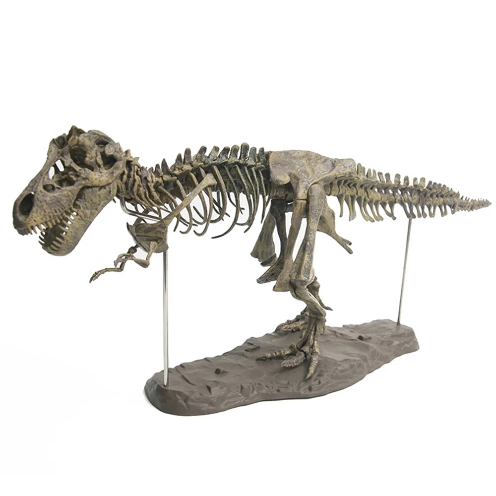 

5D 70cm PVC Assembling Skeleton Dinosaur Toy for Children Simulation Animal Model Kit Toys Gifts Decoration Educational Science