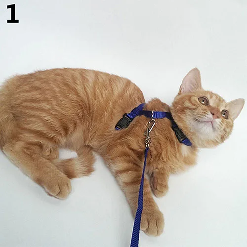 Adjustable Nylon Cat Collar Puppy Pet Harness Collar Lead Leash Traction Safety Rope for Cats