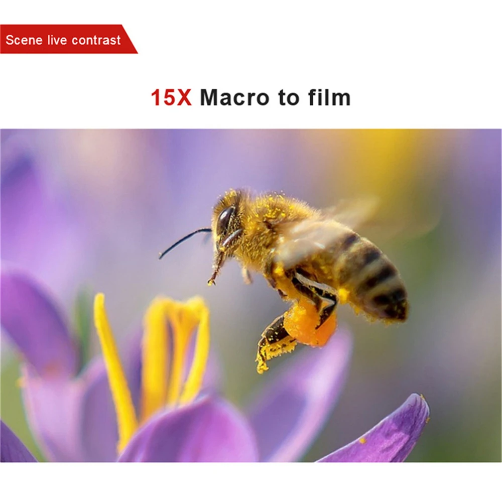 FST 15X marco 1.5 (2)