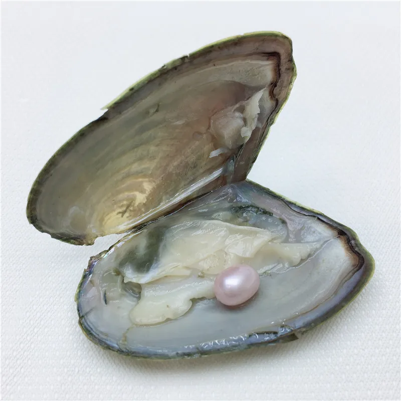 IMG_6980